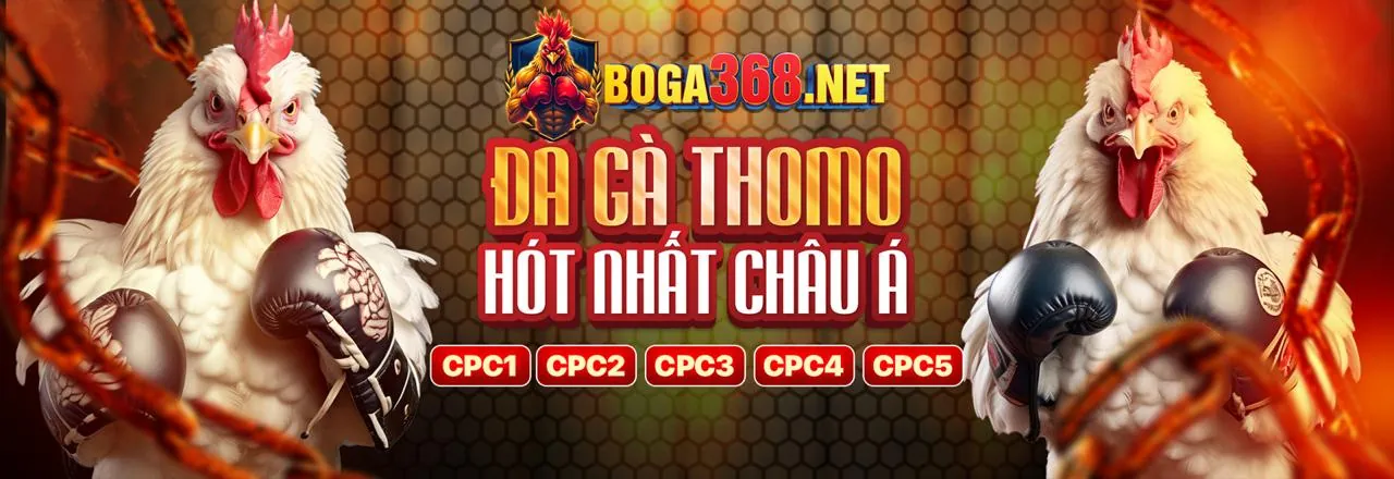 Hình ảnh chính 12play hiện đang mở với nhiều trò chơi casino và cá cược thể thao hấp dẫn