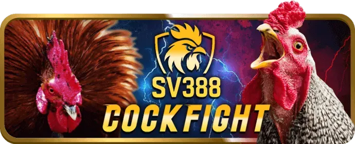 Ưu đãi VIP độc quyền